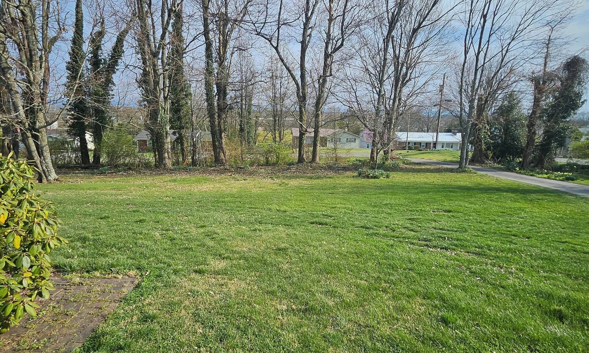 Hilander Park House | 4-bed house w/new HVAC, fiber internet, and private wooded acre in Bristol
