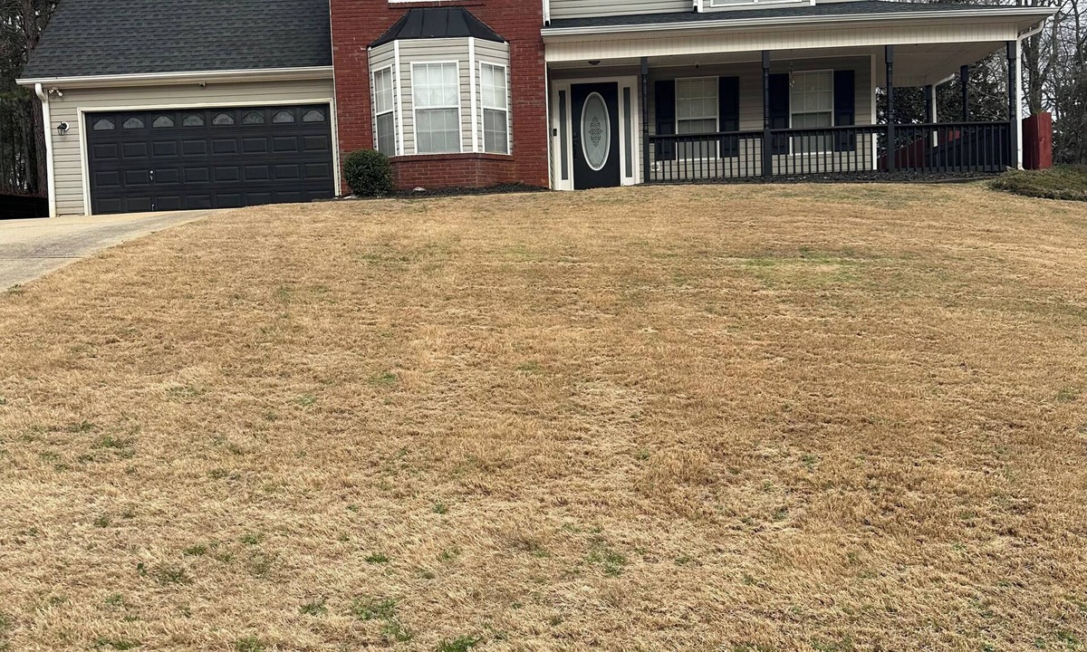Rex House | 4-bedroom 2.5 bath Jewel in Rex with AC, WiFi, Private backyard, Very Quiet.