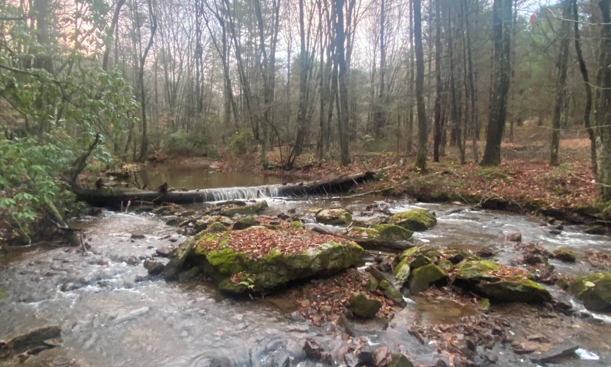 Montebello Cabin | 5 minutes to Blue Ridge Parkway, Crabtree Falls, hiking, wineries, breweries