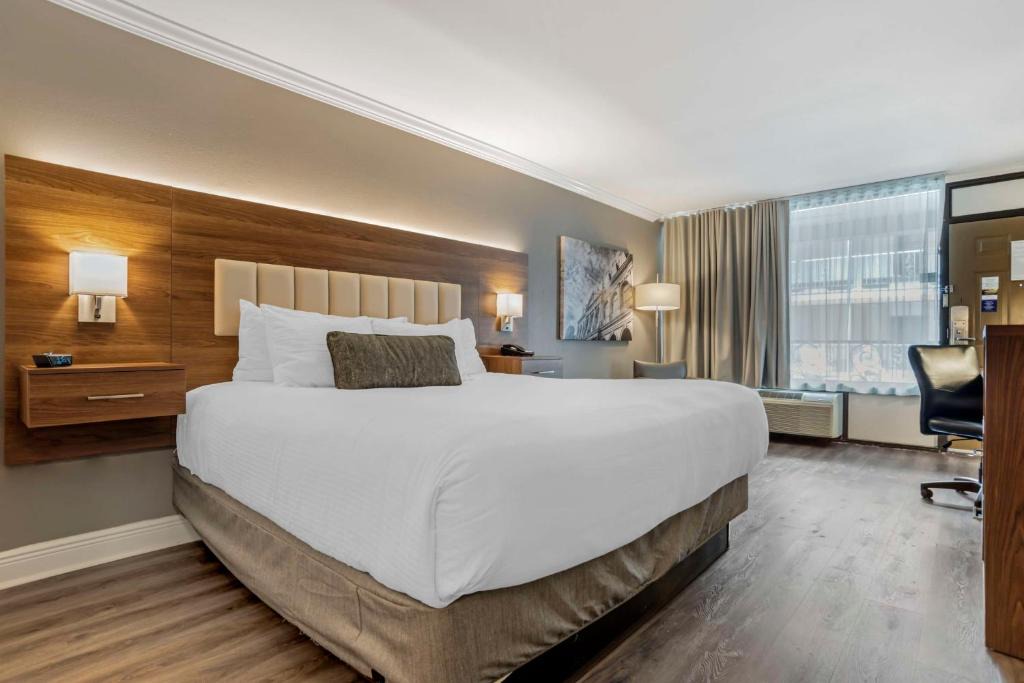 Harvey Hotel | Best Western Plus Westbank