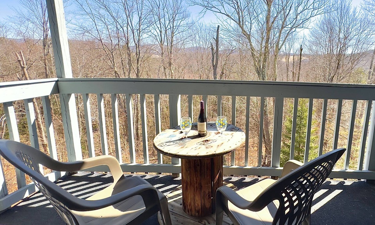 Davis Condo | BR127- Charming and Affordable! A/C! Outdoor Pool!