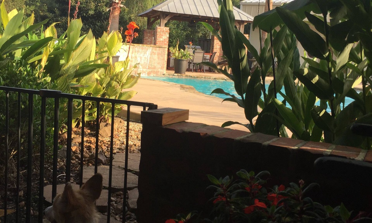Milton House | Cajun Getaway: "Home Away From Home" A little piece of paradise. Very relaxing.