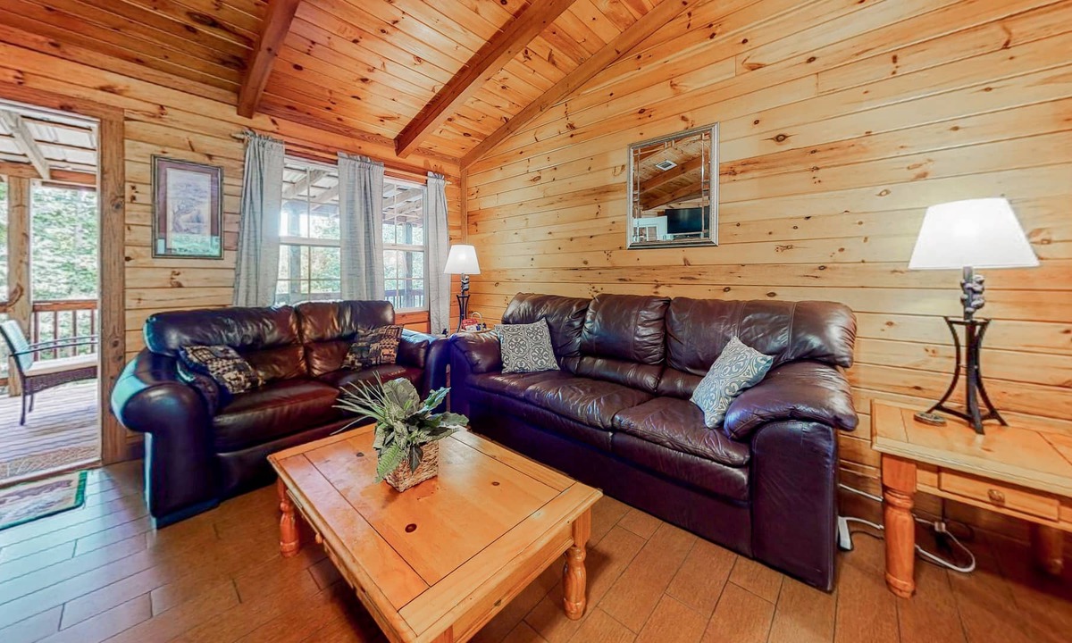 Sautee Nacoochee Cabin | Charming Cabin with Private Hot Tub & Lovely Mountain Views - Dogs OK