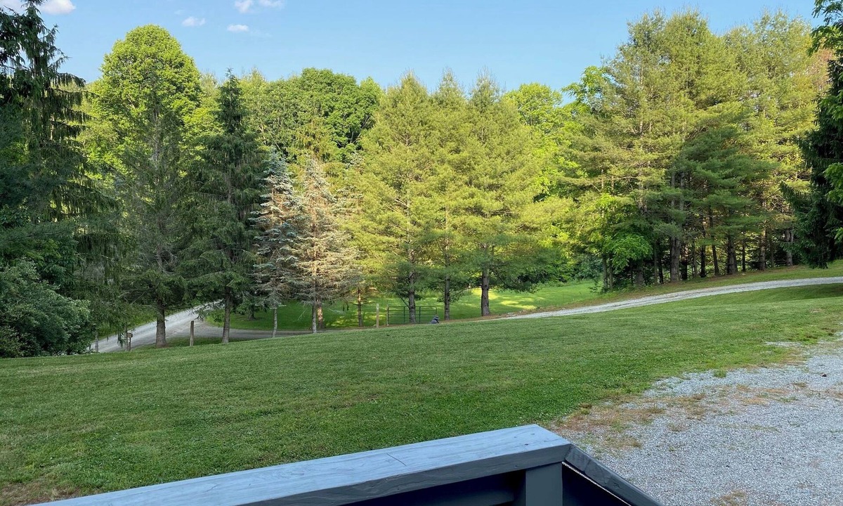 Mouth of Wilson House | Charming Mountain Retreat Near Grayson Highlands, 2BR 2BA, Sleeps 6