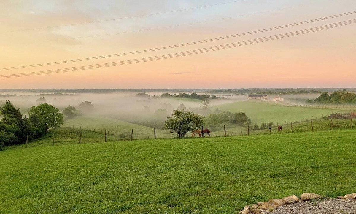Williamstown House | Cordova Retreat - 7 Minutes from the Ark!