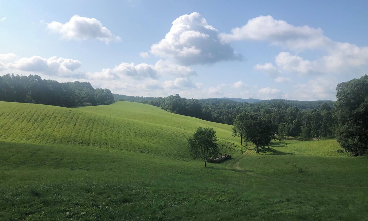 Christiansburg House | Cozy cottage with amazing views just 10 minutes to Blacksburg. Pet-friendly!