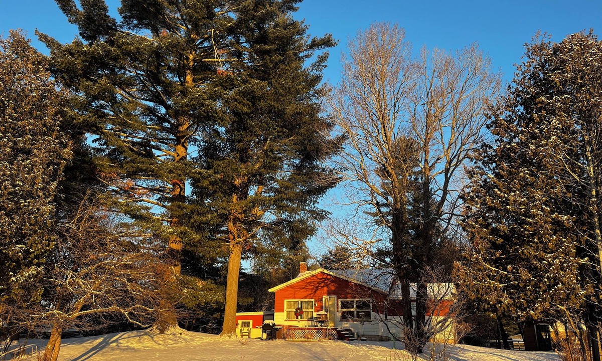 Champion Cabin | Cozy Lakefront Cabin🌞Experience the beauty of the real UP!