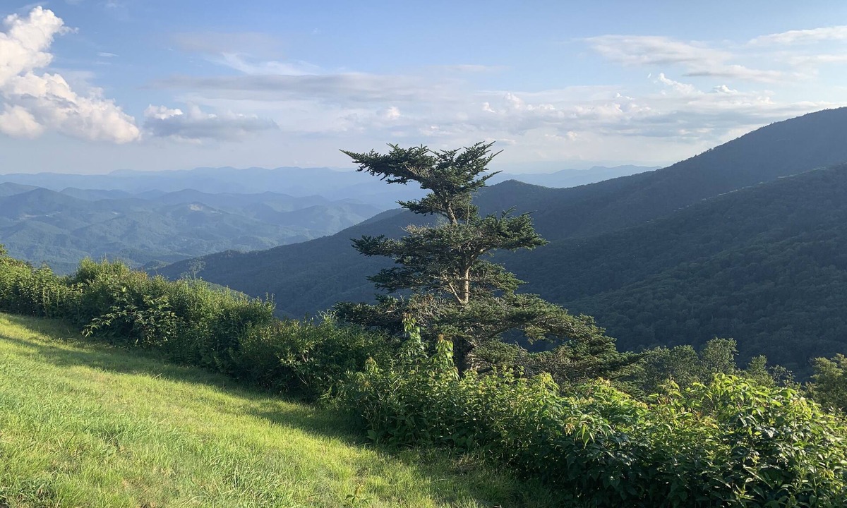 Waynesville Cottage | Cozy Mountain Cottage near Downtown