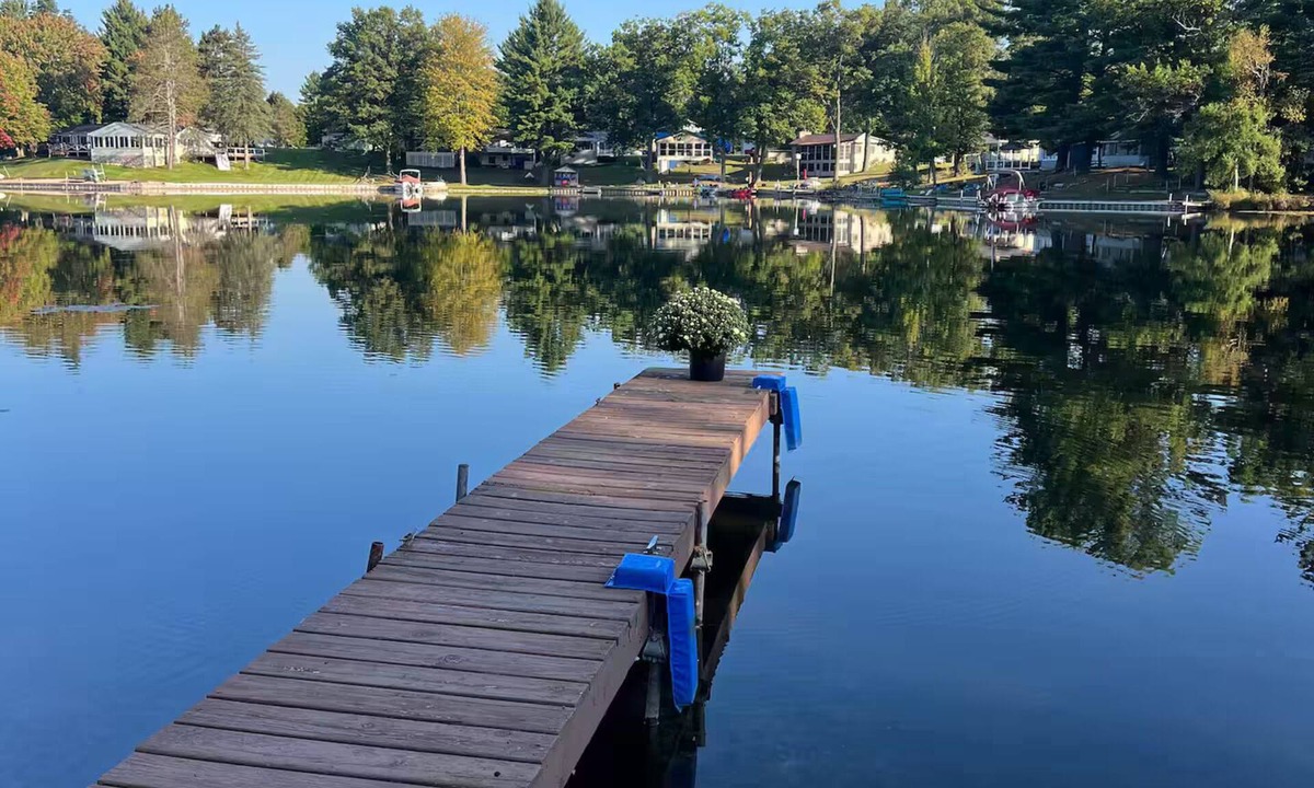 Harrison Cabin | Cozy Pet Friendly Dodge Lake Cabin and 3 Kayaks!