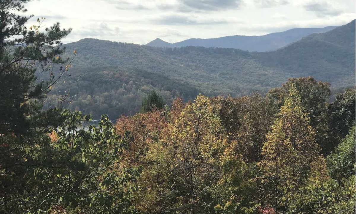 Hiawassee House | Cute cabin😊Pretty Views! Clean! ONLY 1 MILE TO TOWN!