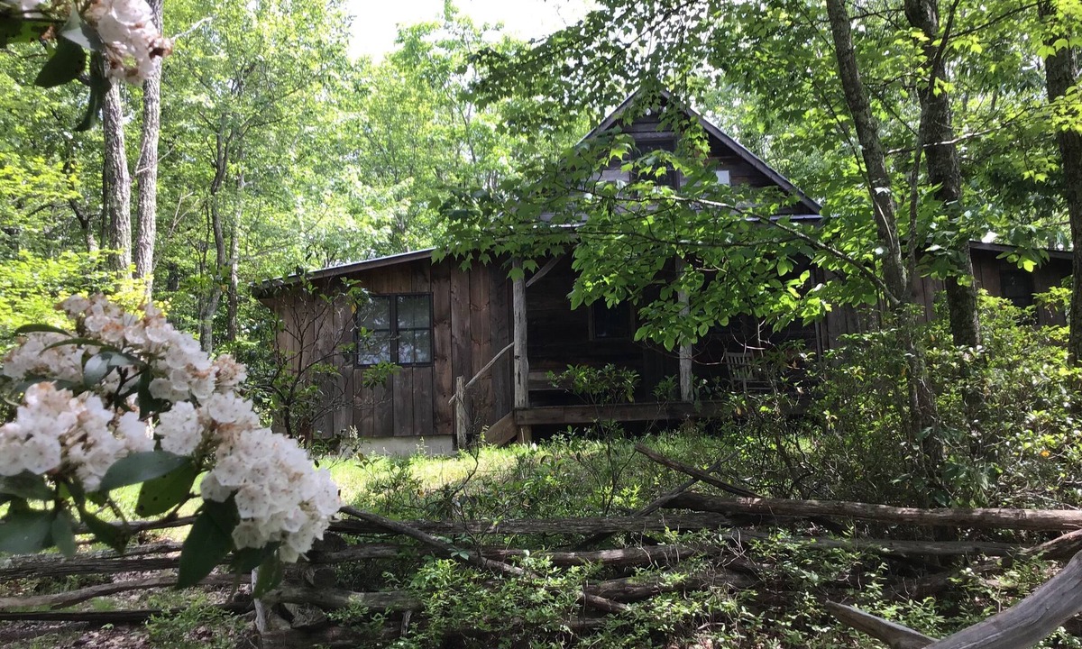 Monterey Cabin | Delightful 2-bedroom cabin in Monterey perfect for a relaxing getaway