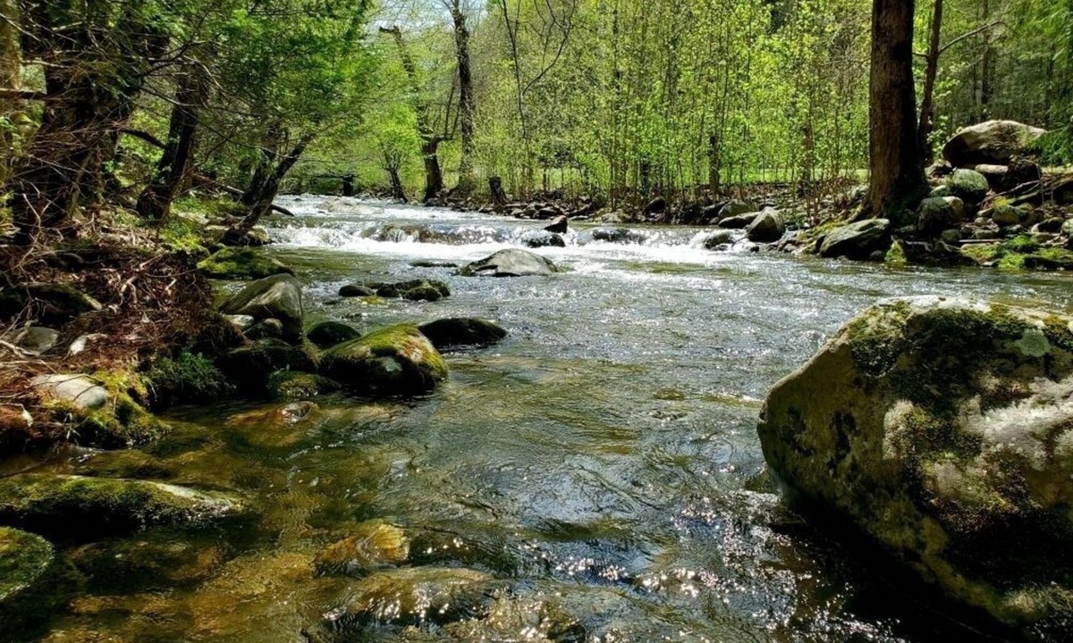Cosby Cabin | Elk Run On Cosby Creek by RedAwning