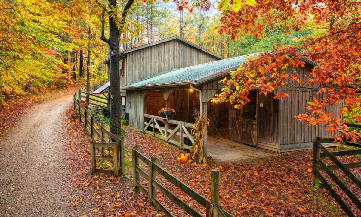 Carbon Hill Cabin | Elwood Loft & Barn: A budget-friendly cabin for 4: Hot tub + 3 horse stalls