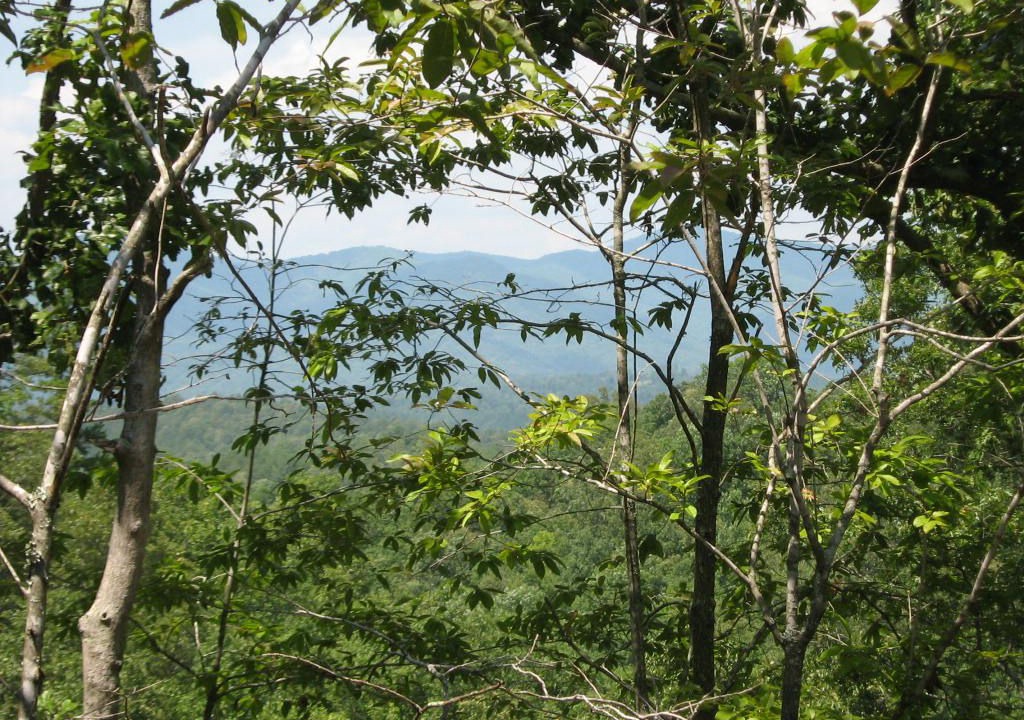 Copperhill House | *Free Whitewater Rafting & Ziplining* Luxury rental near the Ocoee River & McCaysville with mountain views