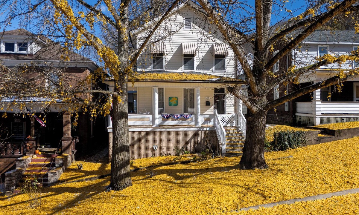 Bellepoint House | Ginkgo House on 5th | New River Gorge & Town