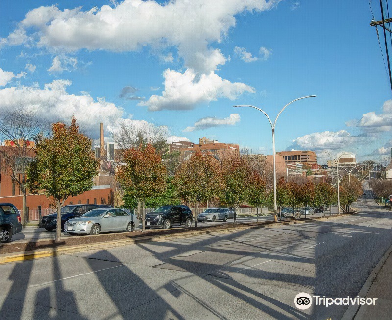 Corryville Hotel | Hampton Inn & Suites Cincinnati / Uptown - University Area