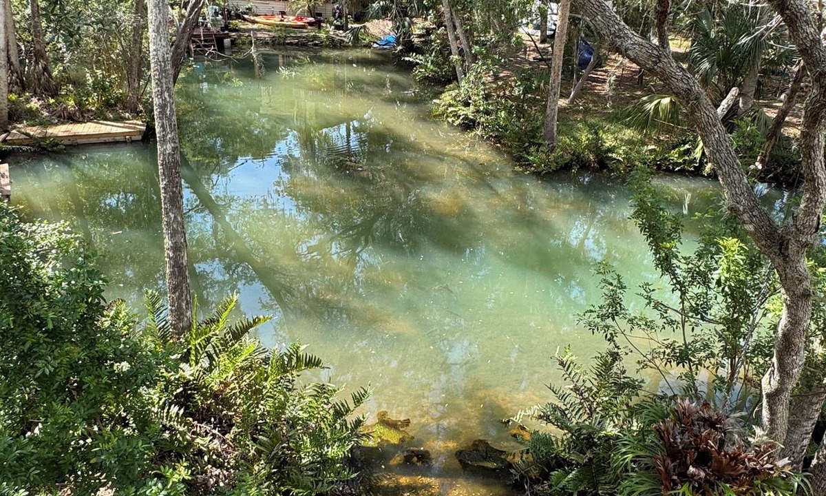 Weeki Wachee Gardens House | Hidden Spring Run Elevated Views 2 Kings 75" Smart TV kayaks Game Rm