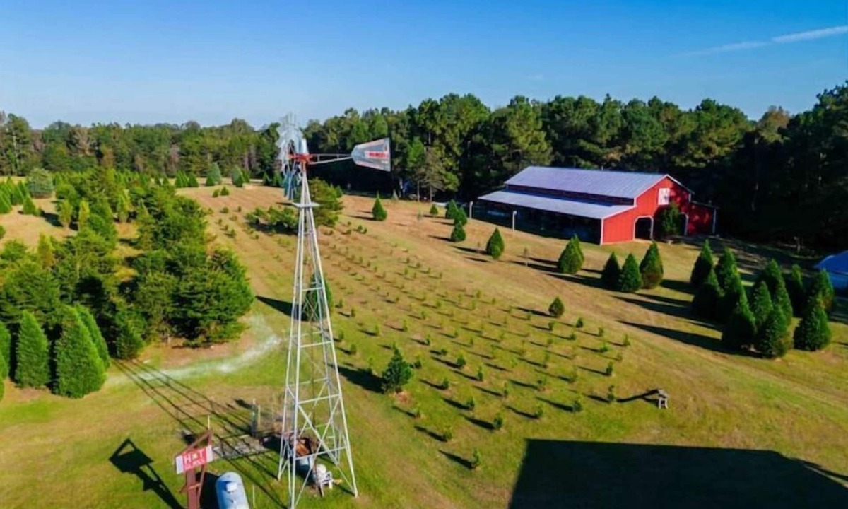 Hattiesburg House | Historic FarmHouse with Goats & Glass Blowing