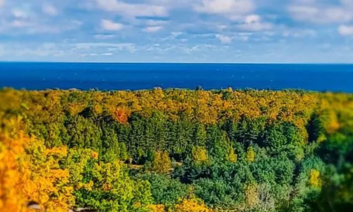 Harrisville Cottage | It's Color Tour Time - Come see the changing Colors at the Hideaway
