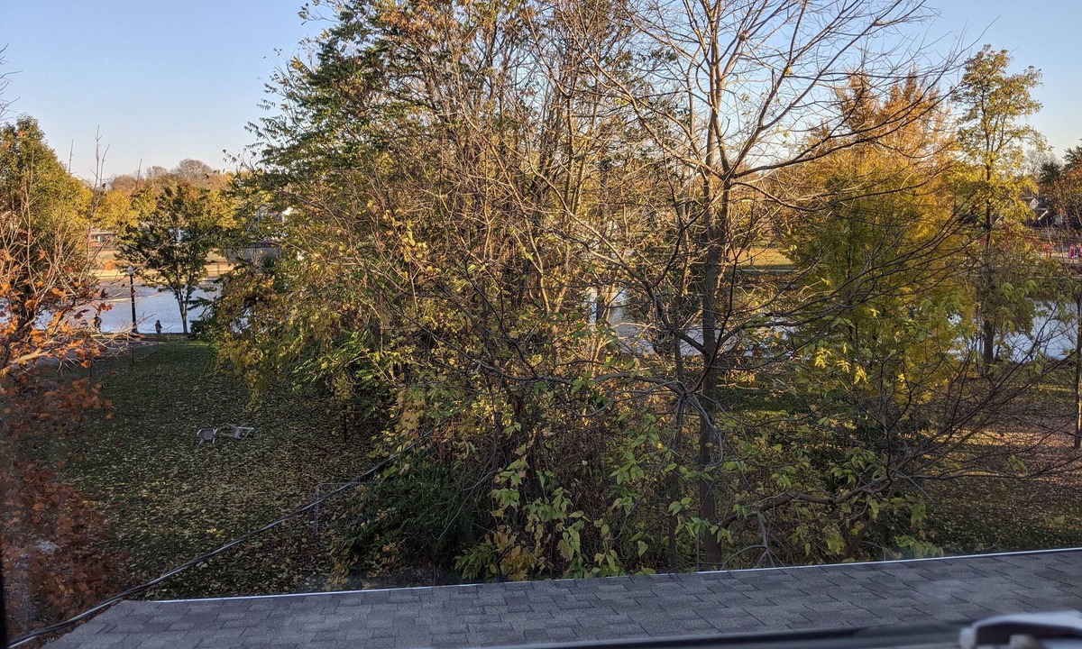 Dundee Apartment | Jack's Joints on the River Apt B