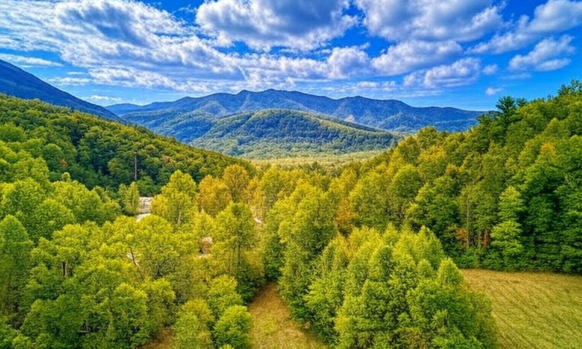 Cosby Cottage | Jolly Jingle Cabin, Pickleball Court, WIFI, Mountain Views, Starting at $50