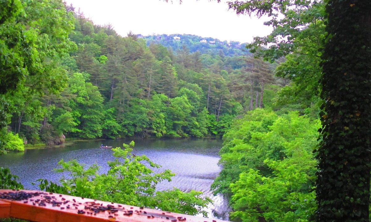 Sapphire House | Lakefront cabin in mountains, 1 mi away from skiing/tubing!