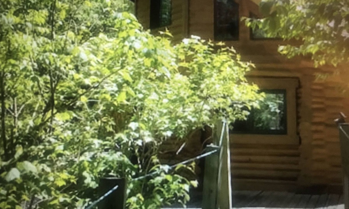 Duluth Cabin | Log cabin!!