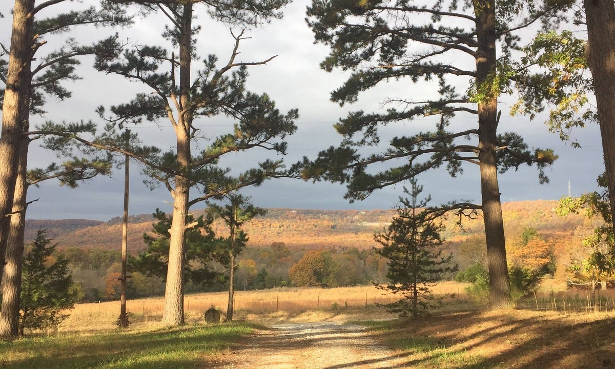 Harrison House | Ozark Pines: Ozarks Country Getaway Near Branson & the Buffalo River