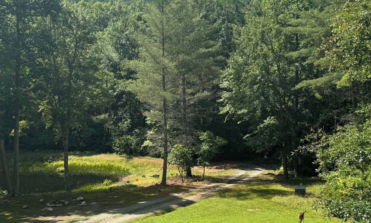 Morganton House | PRIVACY,VIEWS,POND,CREEKS! pooltable-arcade-minutes to BlRdg-Lake-dogs welcome