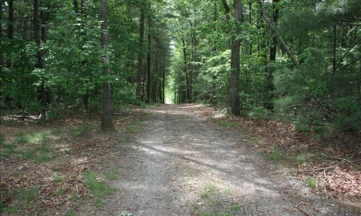 Blairsville Cabin | Private, Secluded, Relaxing Cabin. 1853 Ask about out WEDDING OPPORTUNITIES