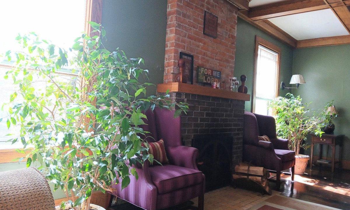 Detroit House | Quiet & Cozy Abode in West Village Detroit with yoga studio