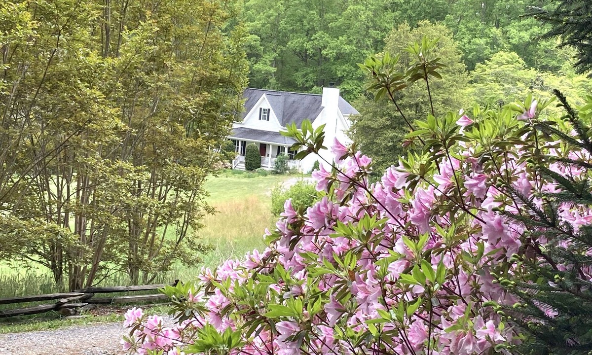Fairview House | Quiet retreat minutes from breweries, hiking, and Biltmore