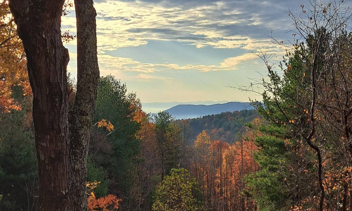 Millers Creek House | Romantic Getaway w/Mtn views, private pond, 10 acres, surrounded by woods. New!