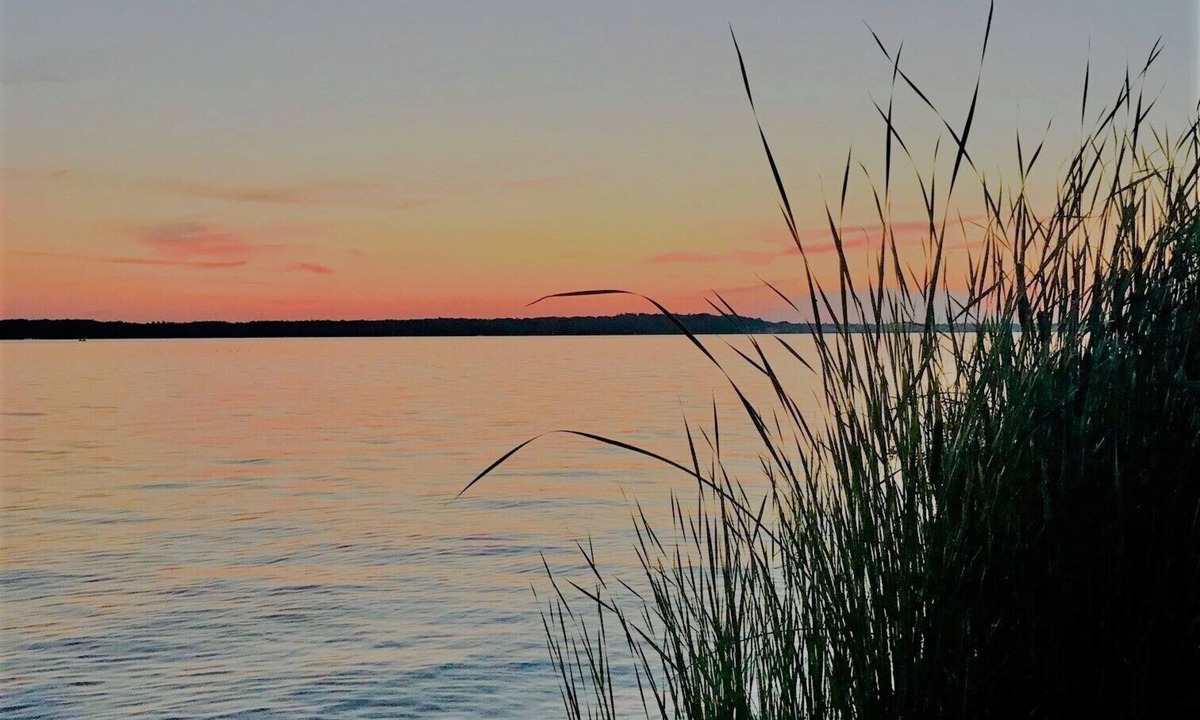 Ludington House | Rose's Retreat on Hamlin Lake-Private Paradise with Picturesque Views