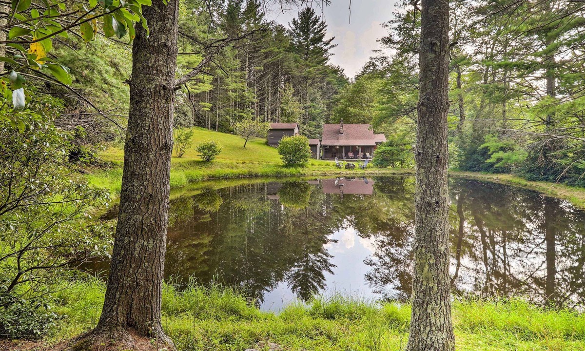 Ennice Cabin | Rustic Cabin w/Patio & Pond on Blue Ridge Parkway