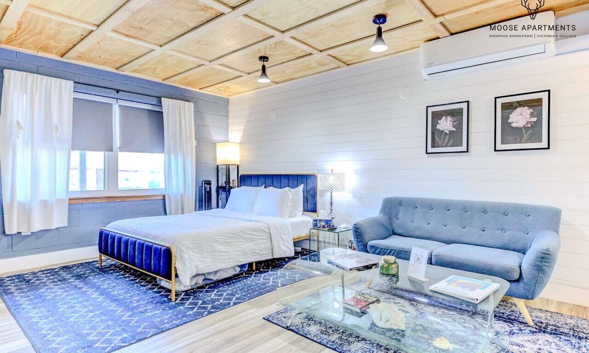 Downtown Memphis Apartment | Safe Luxe Studio near downtown Memphis - FREE Parking and WIFI