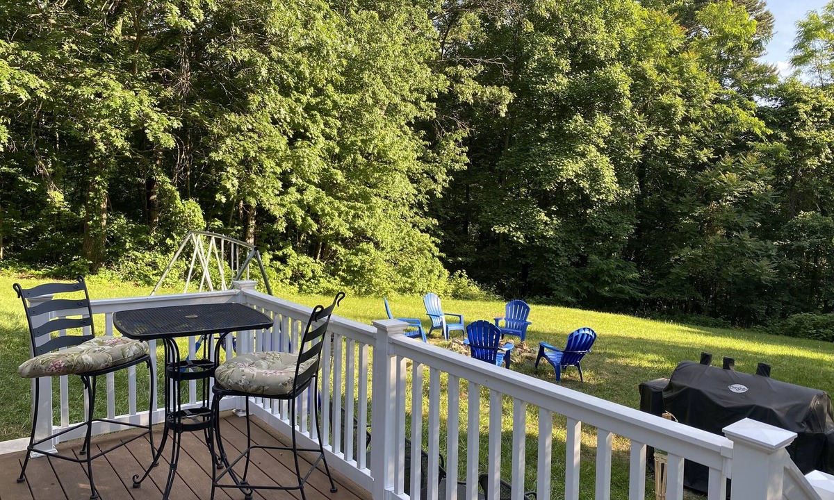Fishers Hill Cabin | SECLUDED MOUNTAIN CABIN HOUSE WITH FIRE PIT, WI-FI , IN SHENANDOAH CO.