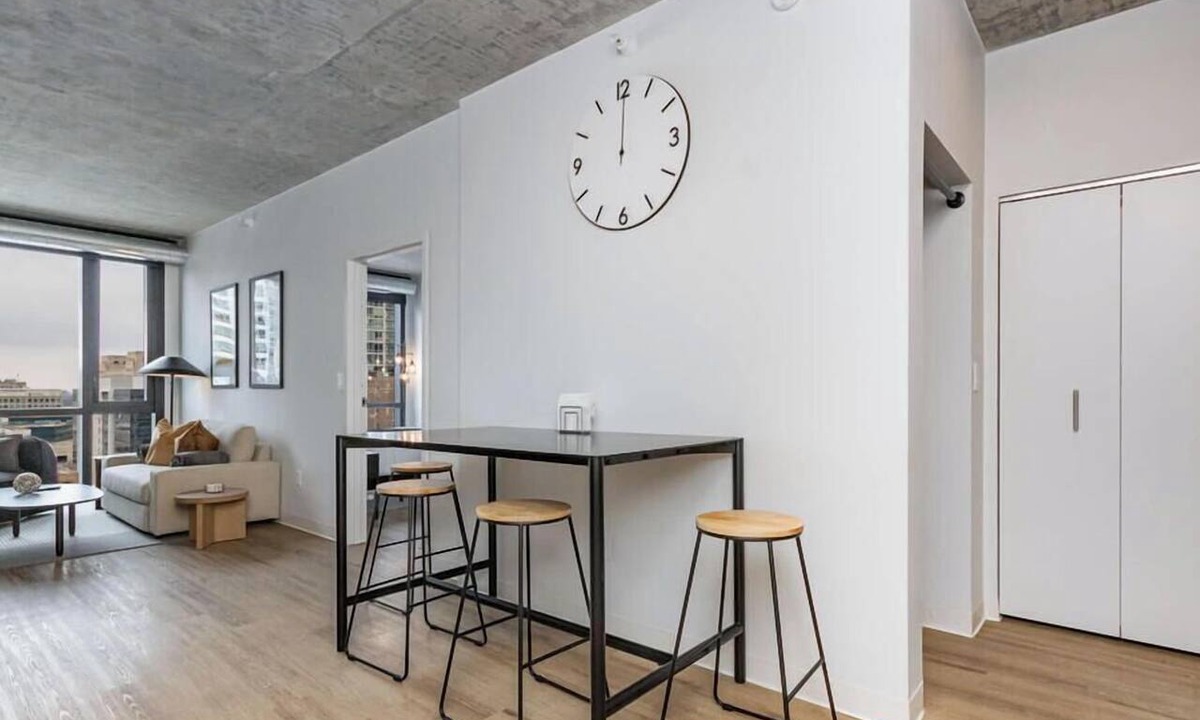 The Loop Apartment | South Loop Rooftop With In and Out Parking 2