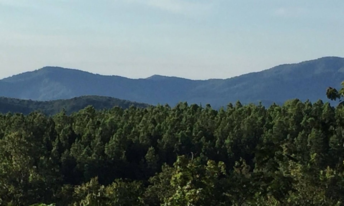 Batesville Apartment | Spacious apt: hot tub, mountain views, stream & pond on peaceful 25 acre estate