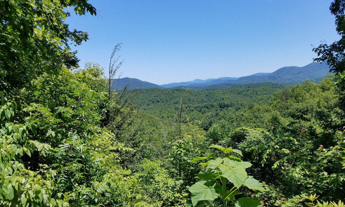 Rocky Grove Cabin | Stay in our private and secluded cabin close to all the Smoky attractions