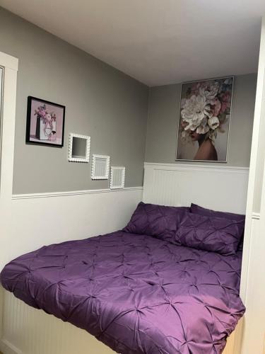 Little Rock Apartment | Taylor's Cozy Little Apartment Pets Welcome Two Beds