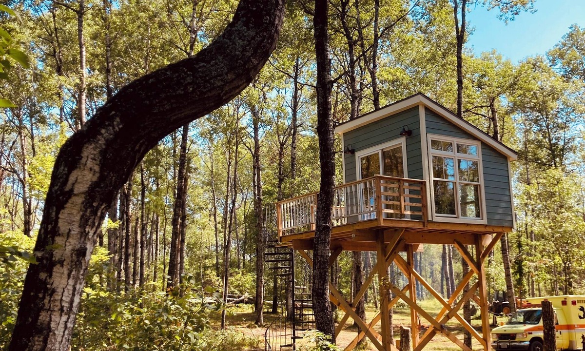 Athelstane Apartment | The Canopy Cabin a Nature Lovers Eclectic Treehouse
