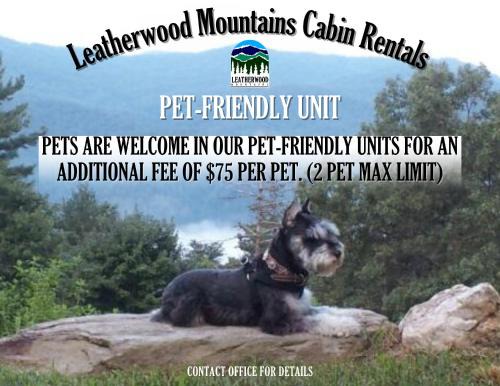 Ferguson House | The Last Resort by Leatherwood Mountains Resort