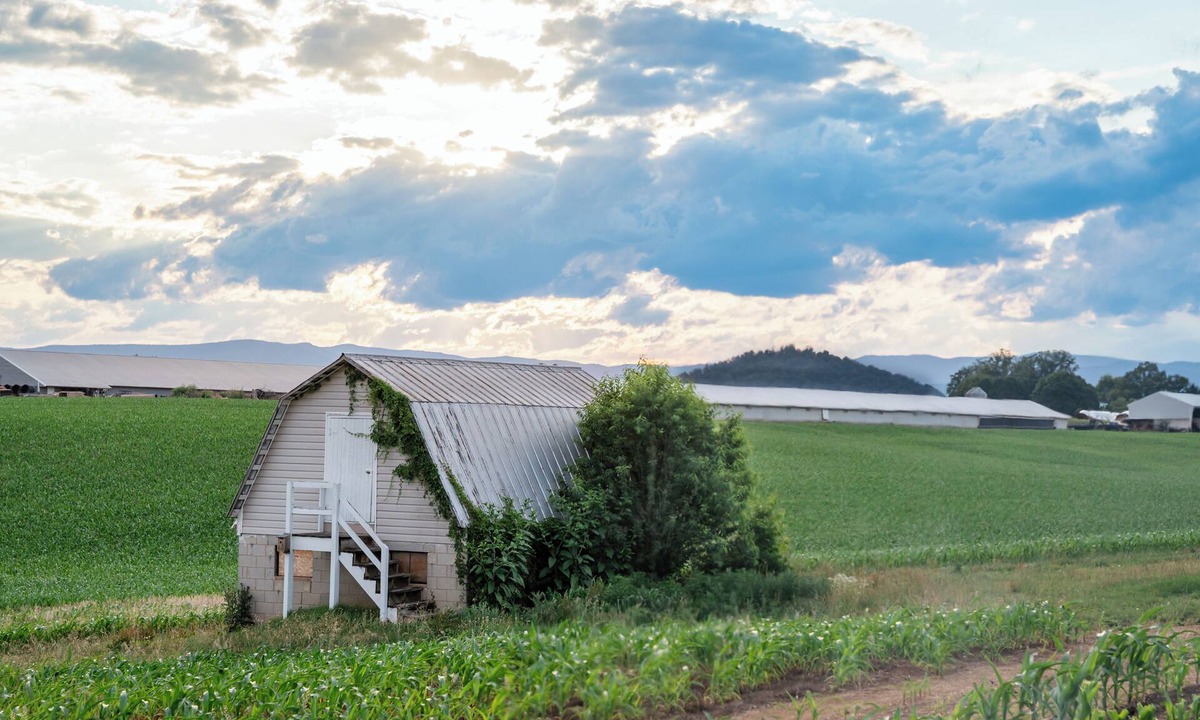 Mount Crawford House | The Overlook Nook, BC, JMU, Buc-ee’s, I-81