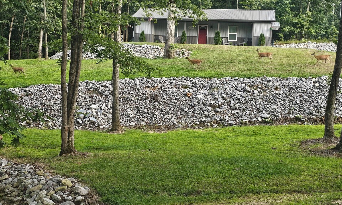 Kuttawa House | Very nice home minutes from the water in peaceful setting