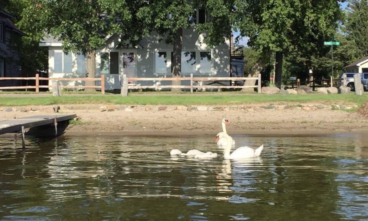 Brooklyn House | Wamplers year-round family lakefront private sandy beach beautiful sunsets