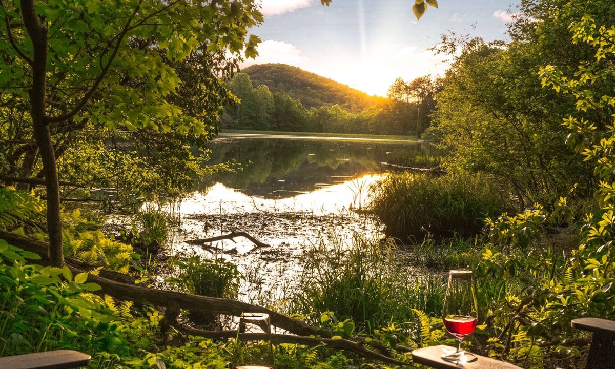 Walnut Mountain Cabin | Waterfall Lake Retreat – Private Lake Access with Views, Canoes & Hot Tub!