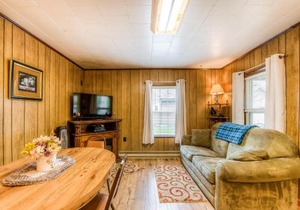 Swallow Falls Cabin #2