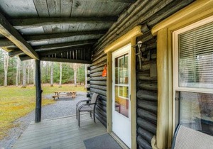 Swallow Falls Cabin #2
