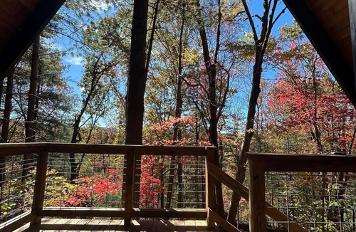 Sparta Cabin | 1-bedroom cabin in Sparta perfect for a relaxing getaway